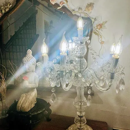 Casa Kumara, Vive La Experiencia